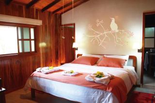 The Wooden House Hotel - Puerto Villamil - 2