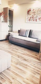 Wici 2 Apartments Teofilow Wodny Raj - Teofilów - 3