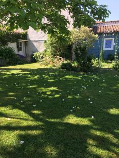 A l'ombre du figuier - 3