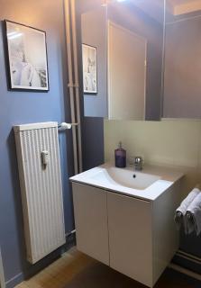 Bel Appartement near Bâle Mulhouse Airport - Saint-Louis - 2