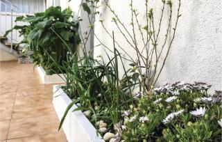 Lovely Apartment In Pineda De Mar - Pineda de Mar - 4