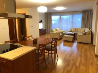 Premium 116m2 Apartment Donovaly - 7