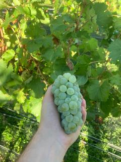 CABAÑA MAR - FINCA PUDUAM - 3