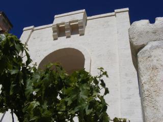Masseria Pelosella B&B - Fasano - 5