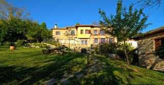 Hotel Maistra - Tsagarada - 4