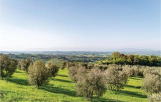 Virginia - Podere Moricci - Montaione - 1