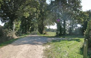 Stunning Home In St Avaugourd Des Lande - 3