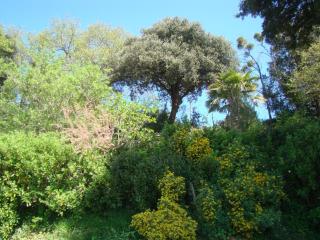 Maison dans falaise face à l'estuaire de la Gironde - 4