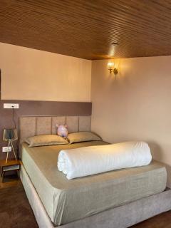 THE GINGKO EYRIE - 5