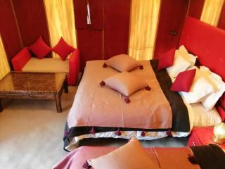 Luxury Camp & Activities - 3