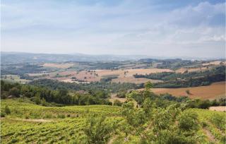 Poggio Vecchio - 9