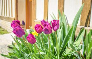 Stunning Home In Héricourt-En-Caux - 5