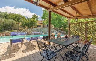 Pet Friendly Apartment - 4