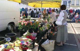 2 Bedroom Beautiful Home In Embry - 5