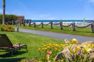 E1 - Sea Forever - 6