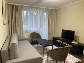 Igla House - Baia Mare - 5