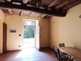 Faggio Rotondo - Neirone - 8