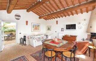 Faggio - Camaiore - 8
