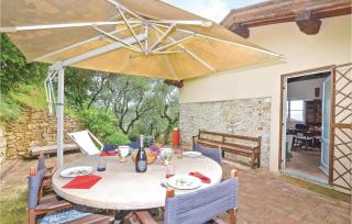 Faggio - Camaiore - 7