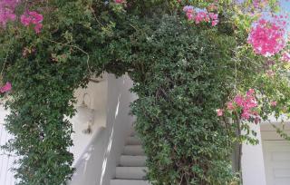 Soleiliosonne, Haus Paris - 3