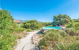 Ginepri Bilo - Badesi - 3