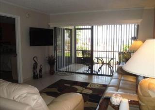 Bahia Cozy Poolside Unit - St Petersburg - 9