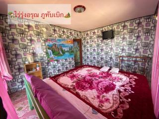 ไร่รุ่งอรุณ ภูทับเบิก - Ban Maeo Thap Boek - 3
