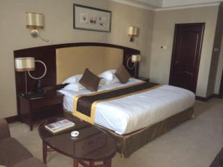 Swissôtel Tashkent - Tachkent - 9