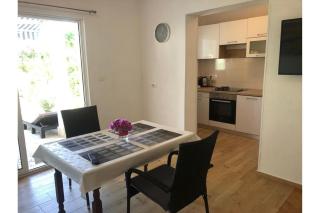 Grapevine Studio Apartment - Ždrelac - 7
