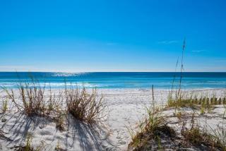 Little House on the Beach - Destin - 7