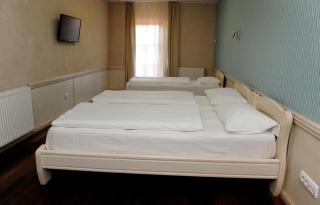 Hotel Centar Balasevic - Belgrad - 1