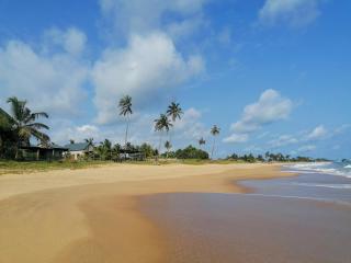 Afro Beach eco Resort Butre - Butre - 0