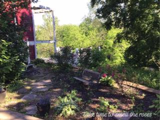 Plain & Fancy Bed & Breakfast - 2