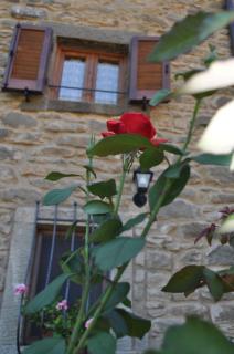 Casa Vacanze Le Antiche Pietre - 9