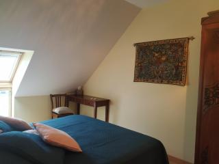 Le Logis du Livier - Saint-Georges-sur-Layon - 1