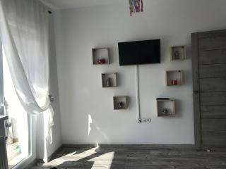 Fok Flat Sibiu - Turnişor - 9