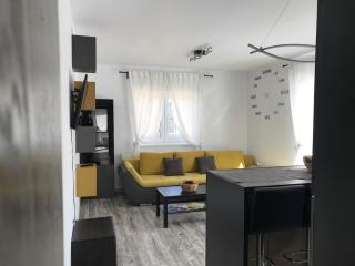 Fok Flat Sibiu - Turnişor - 7