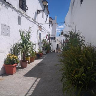 Besara Vejer - Vejer de la Frontera - 7