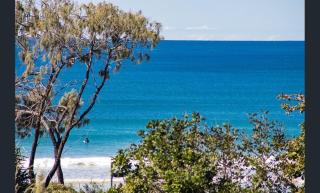 Sundeck Gardens - Maroochydore - 5