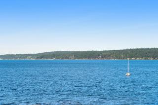 Three Eagles On Whidbey - Freeland - 9