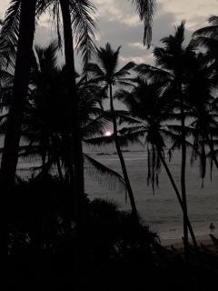SunRay Rest - Beach View Homestay - Mirissa - 8