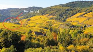 JANÉA Deep Red House - Reichsfeld - 4