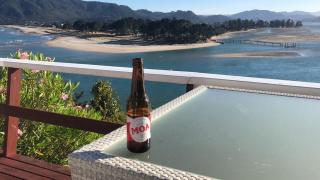 Tairua Treasure on Mount Paku - 2