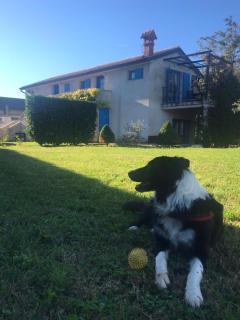 House Ivas with garden - 7