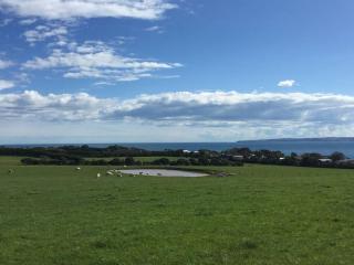 YOLO- Beach-house views, near penguins, nbn! - Ventnor - 3