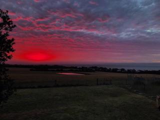 YOLO- Beach-house views, near penguins, nbn! - Ventnor - 1