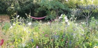 Paysannerie des Versanes - Chambres et gîte - 6