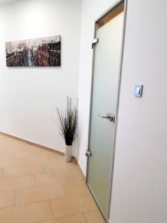 Luxurious Apartment with Balconies in DownTown BP - Budapeste - 1
