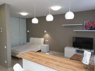 Best Apartment Shevchenka 80 - Lviv - 3