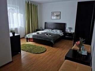 Casa de oaspeti Wallendorf Bistrita Unirea - Bistriţa - 3